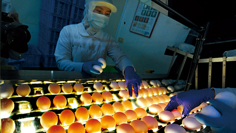 41 歲蛋廠轉型，砸2 億蓋新蛋廠